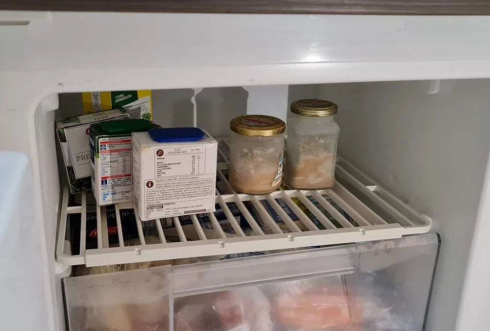 Thop Grid griglia universale estensibile in plastica alimentare prodotta e brevettata in Italia con gancio cassetti per qualsiasi modello di frigorifero (42x35-50-35)