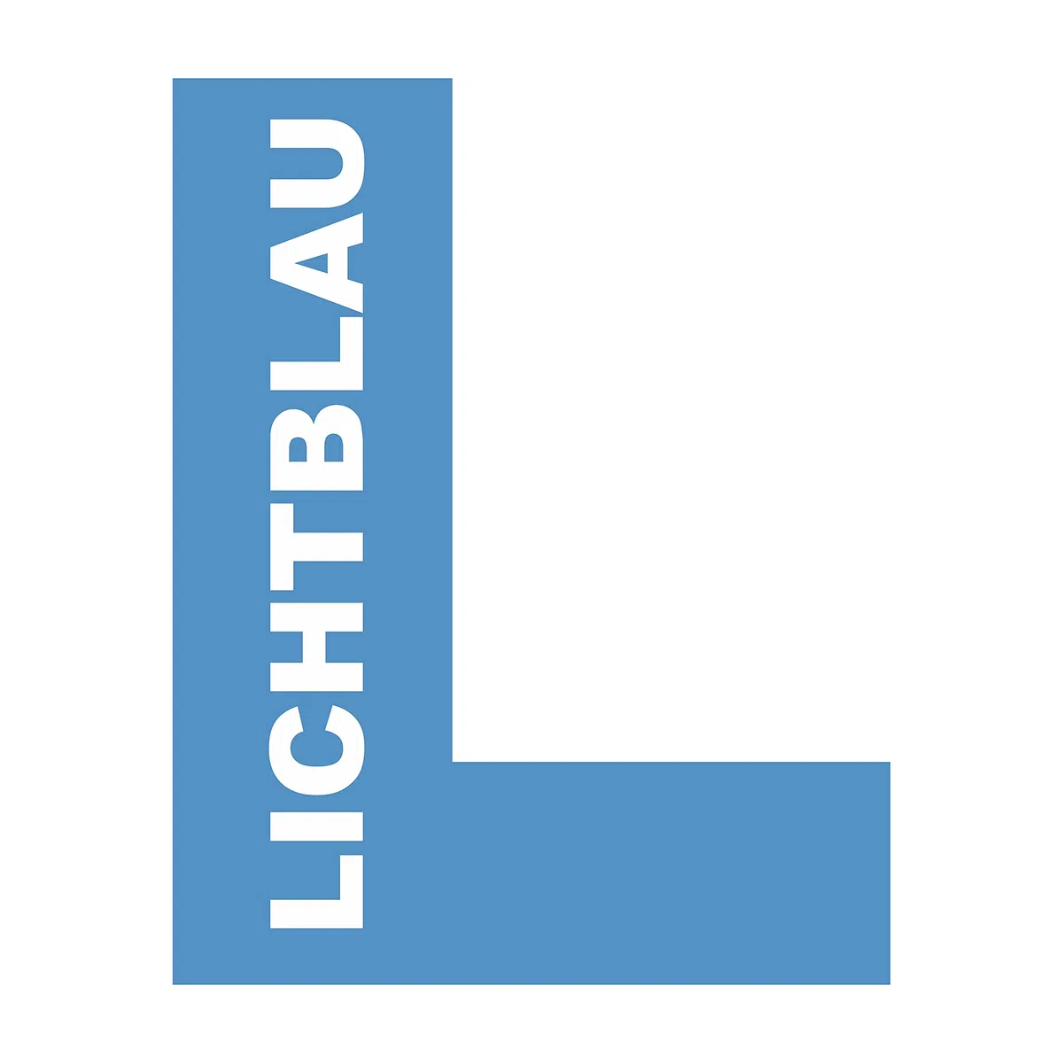 Lichtblau 2 Cerniere Compatibili per Frigoriferi Liebherr 9590178 9590190 9590124, Ricambi in Acciaio Inox Resistenti, Set Sostituzione Porta, Alta Qualità, Montaggio Facile